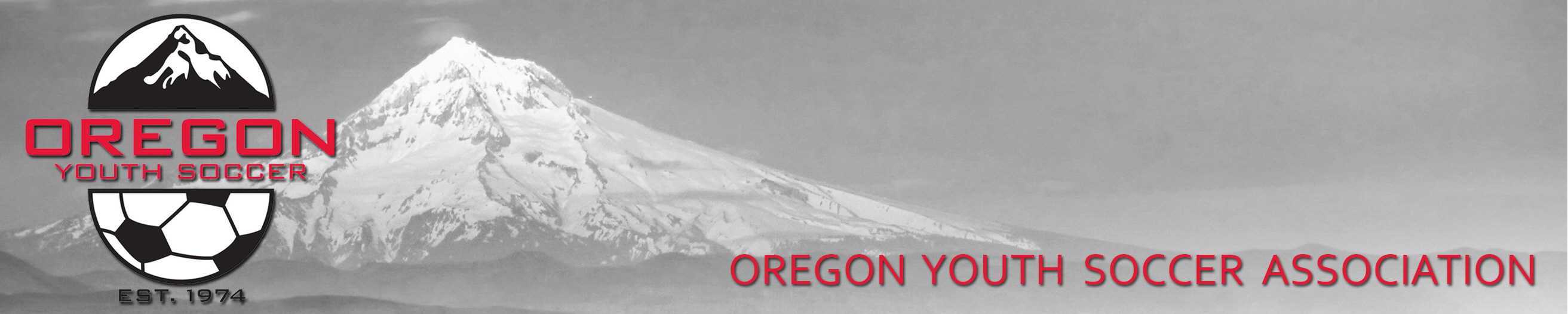 2014-15 Timbers & Thorns Fall U9-U10 Development League banner